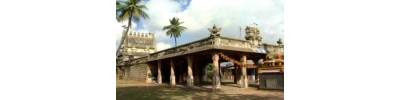 48. திருப்பாடகம் (பாண்டவ தூதர் கோயில்)